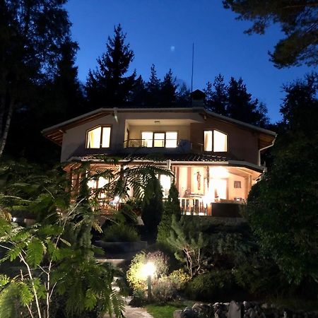 Luxury Villa Borina Zheleznitsa エクステリア 写真