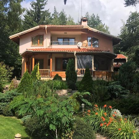 Luxury Villa Borina Zheleznitsa エクステリア 写真