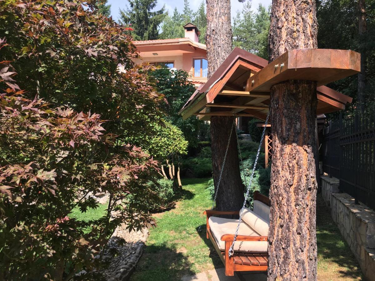 Luxury Villa Borina Zheleznitsa エクステリア 写真