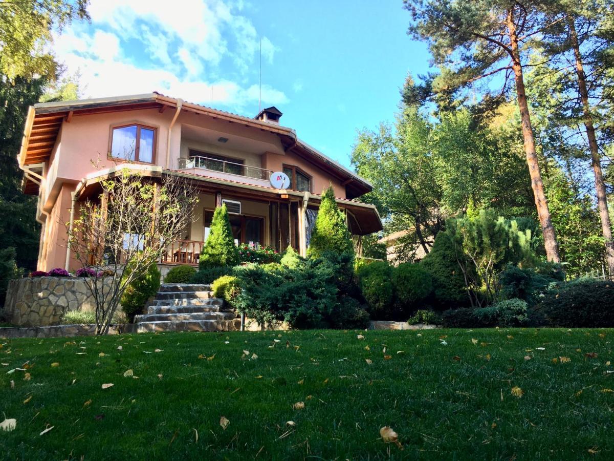 Luxury Villa Borina Zheleznitsa エクステリア 写真