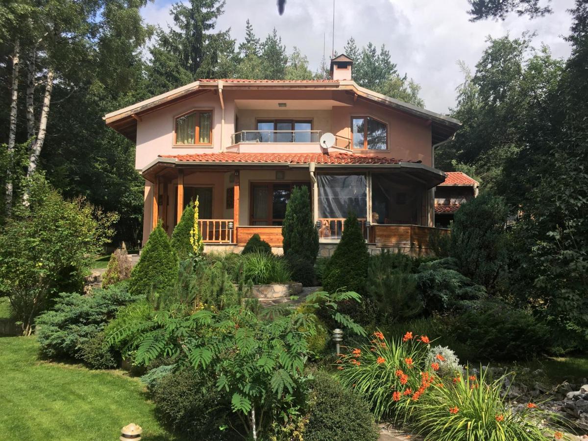 Luxury Villa Borina Zheleznitsa エクステリア 写真