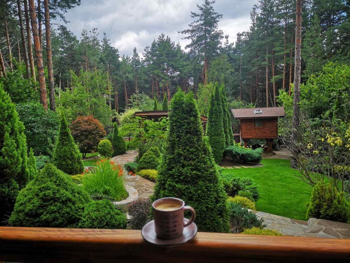 Luxury Villa Borina Zheleznitsa エクステリア 写真