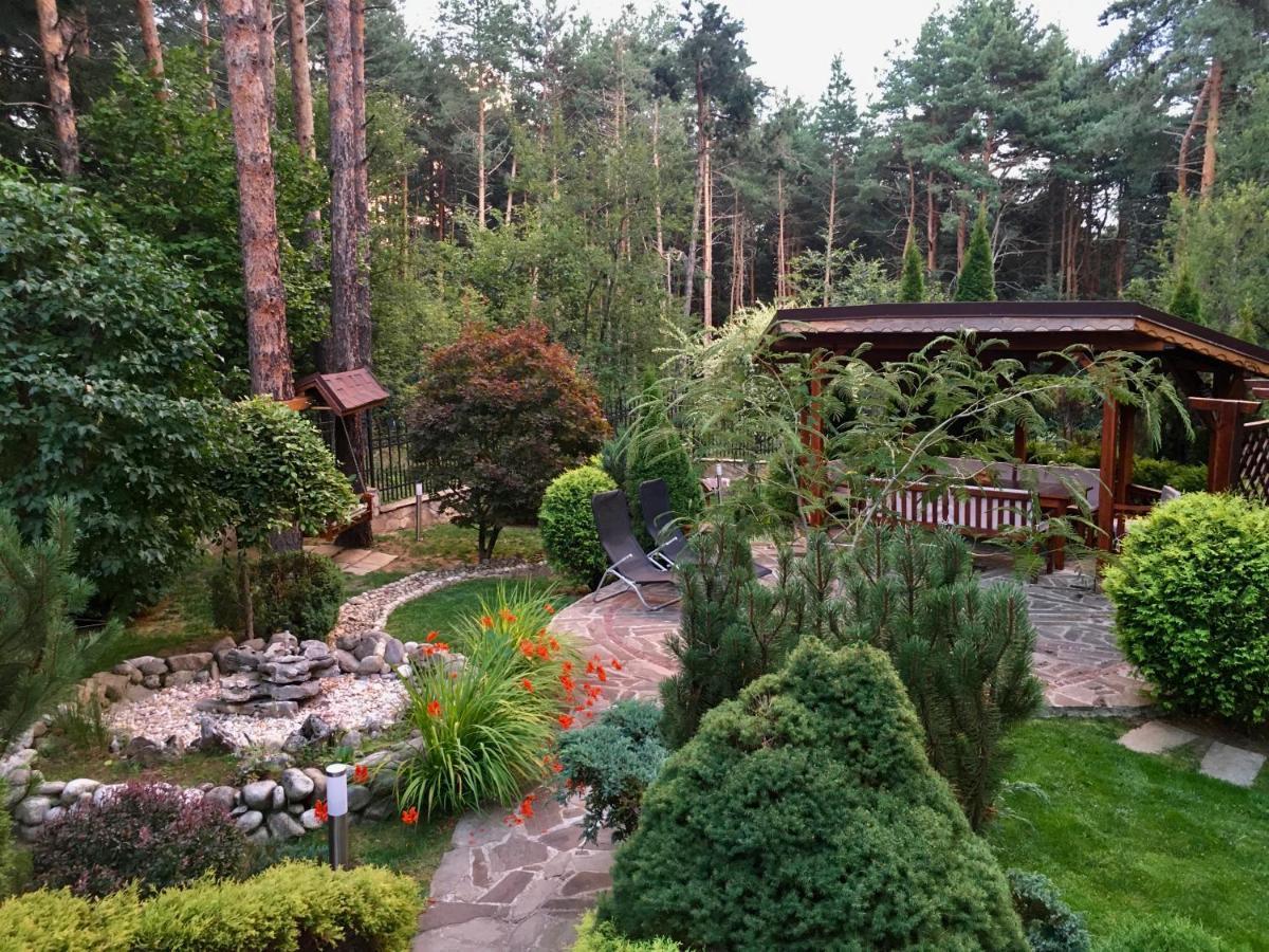 Luxury Villa Borina Zheleznitsa エクステリア 写真