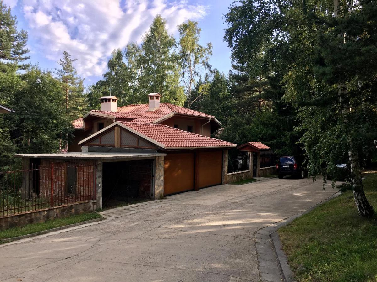 Luxury Villa Borina Zheleznitsa エクステリア 写真