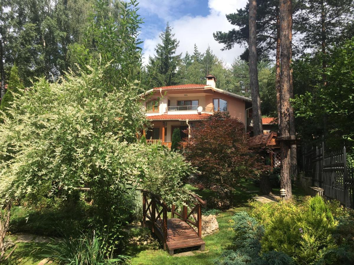 Luxury Villa Borina Zheleznitsa エクステリア 写真