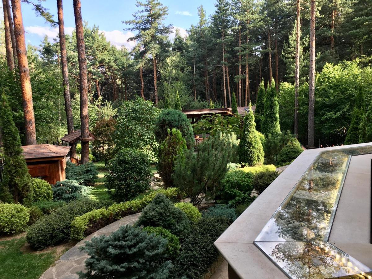 Luxury Villa Borina Zheleznitsa エクステリア 写真