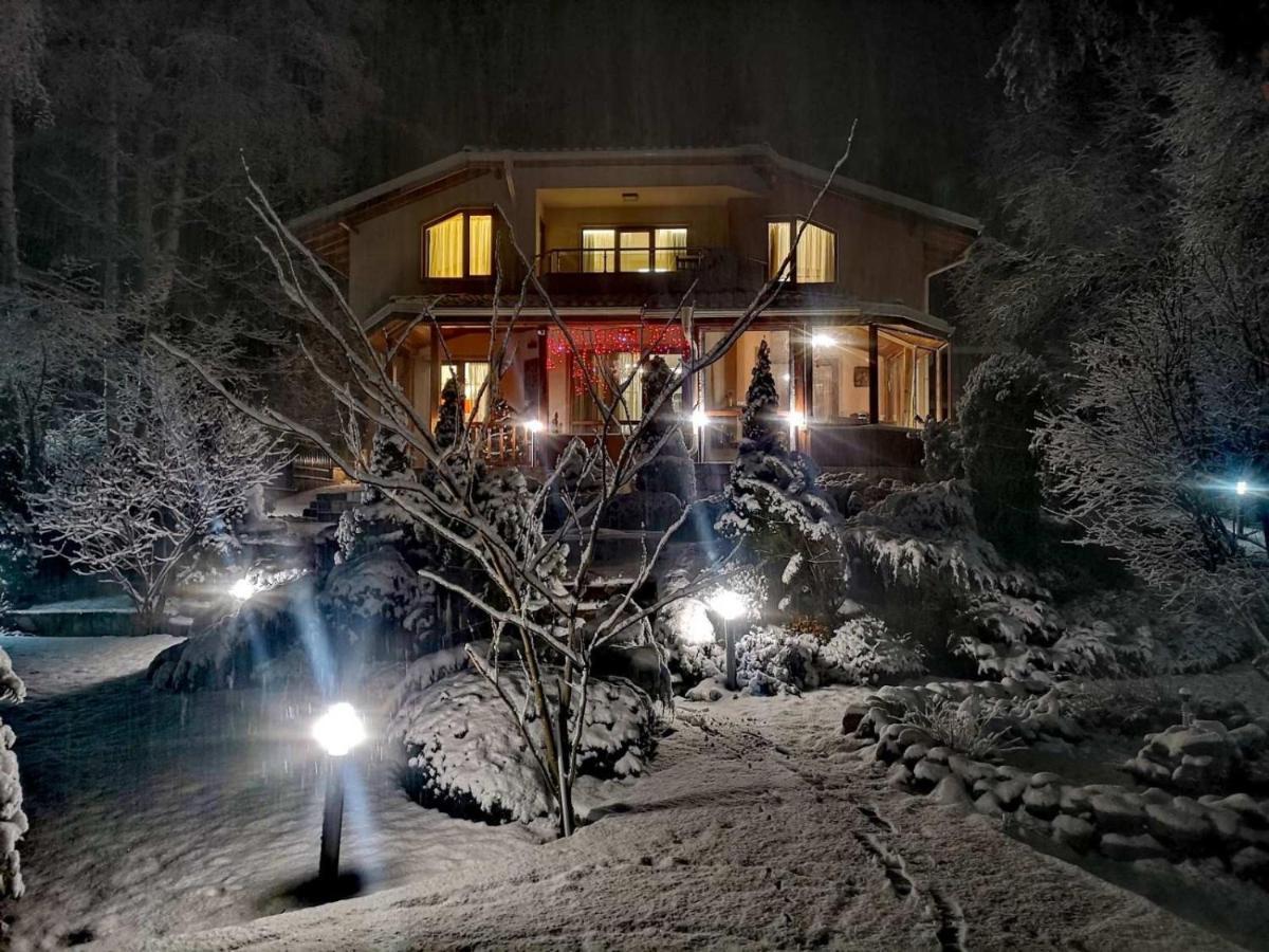 Luxury Villa Borina Zheleznitsa エクステリア 写真