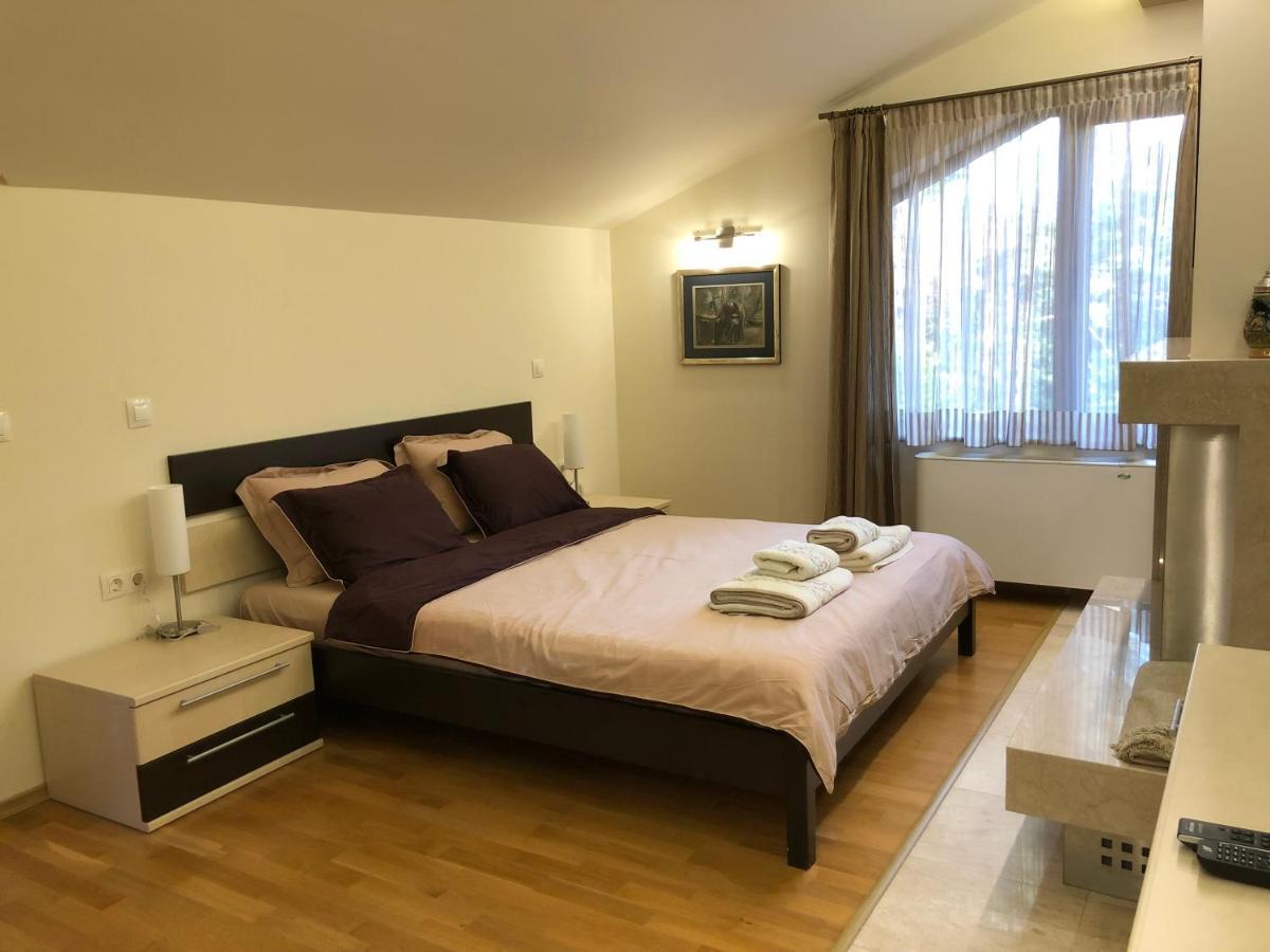 Luxury Villa Borina Zheleznitsa エクステリア 写真