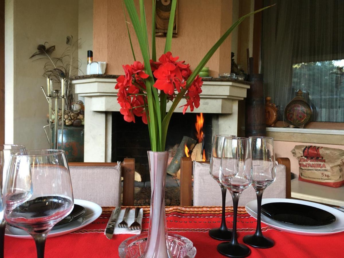 Luxury Villa Borina Zheleznitsa エクステリア 写真