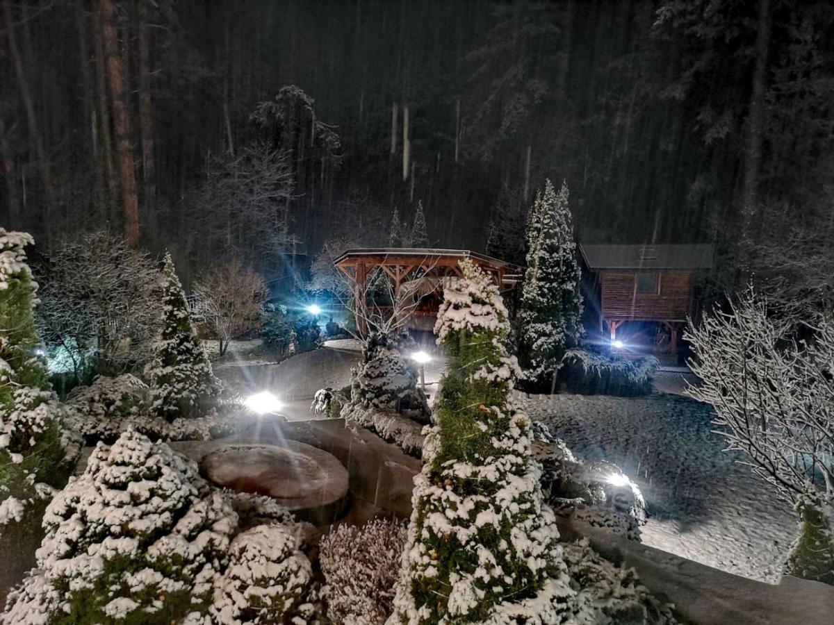 Luxury Villa Borina Zheleznitsa エクステリア 写真